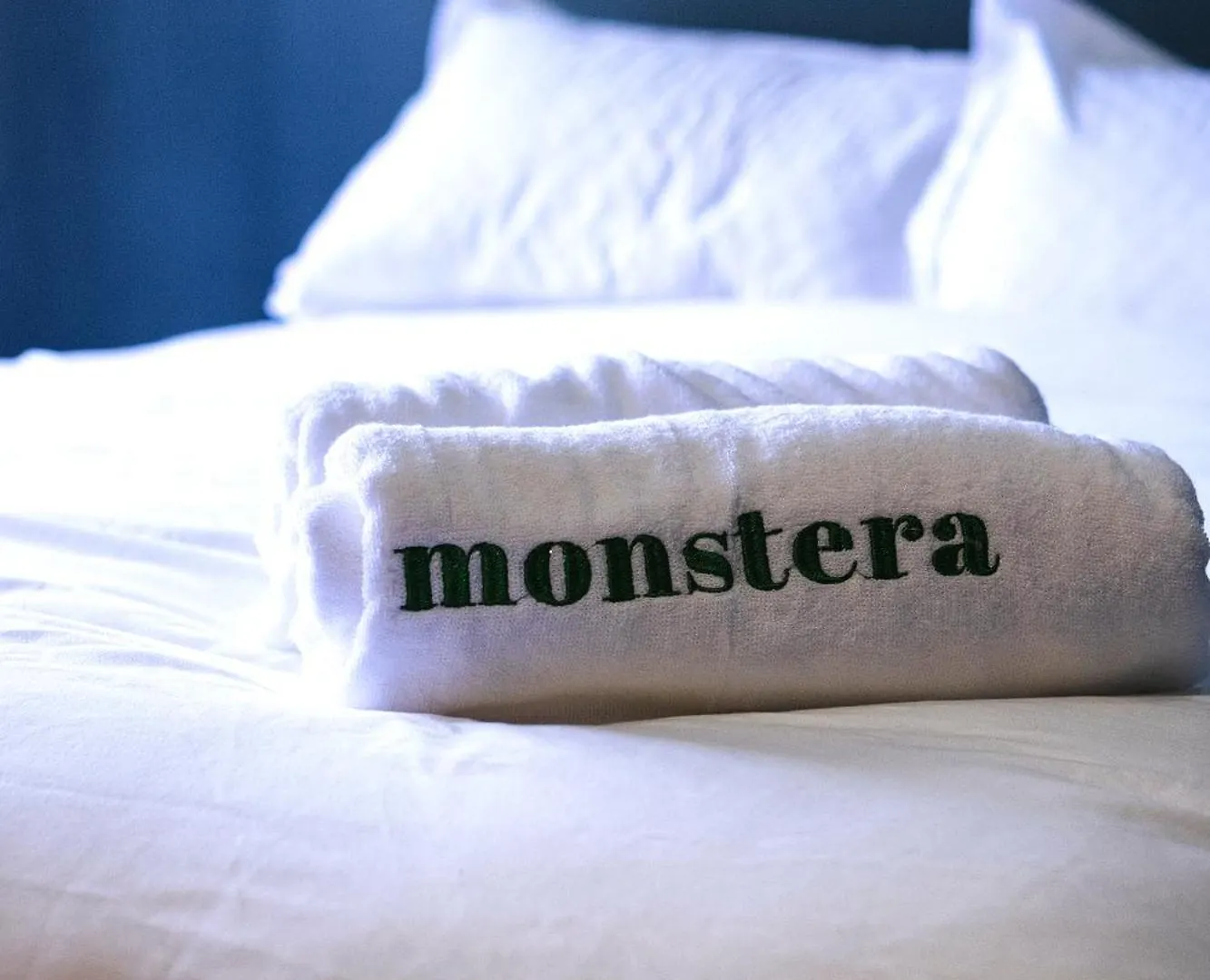 Monstera Guesthouse @ Ipoh Garden East 0*,